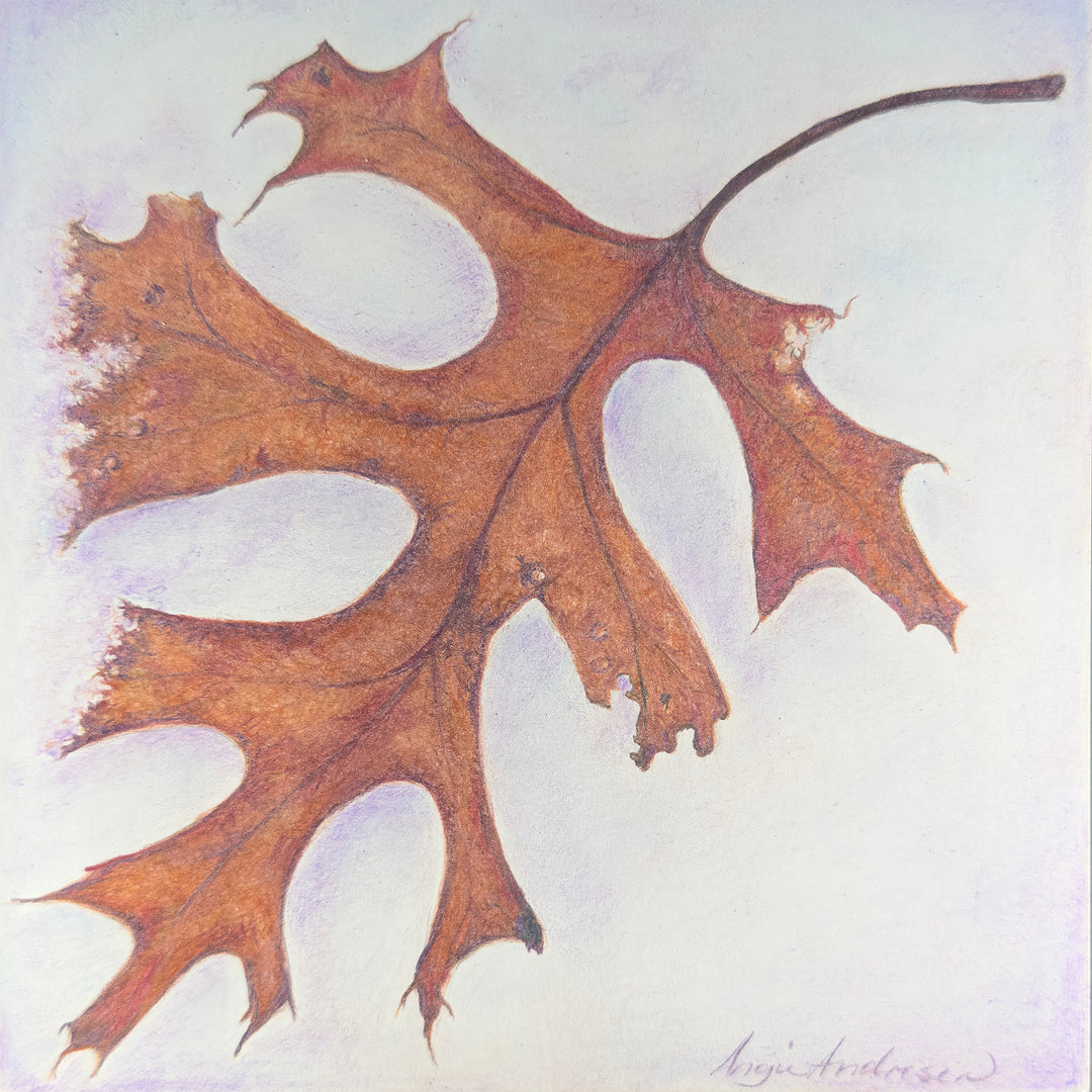 鉛筆画「Amber in autumn」　B5大サイズ Angie Andresen | After the Fall Colored Pencil Original